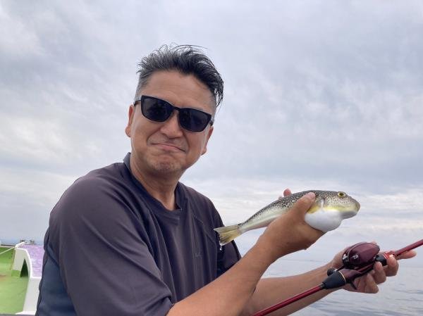 ショウサイフグ