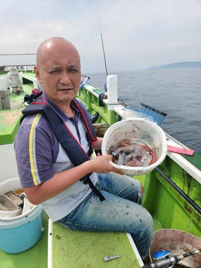 マルイカ(ケンサキイカ)