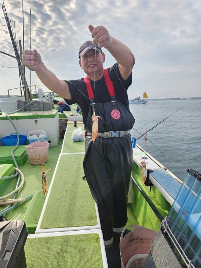 マルイカ(ケンサキイカ)