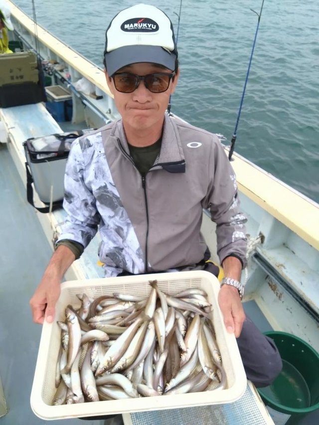 シロキス(シロギス)