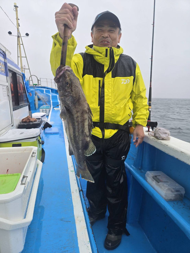 イシナギ(オオクチイシナギ)