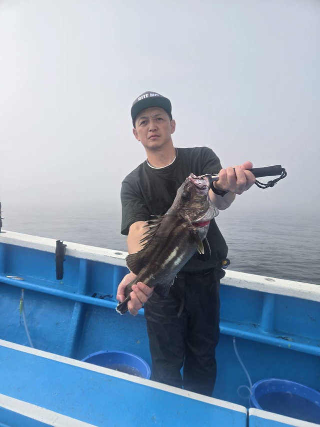 イシナギ(オオクチイシナギ)