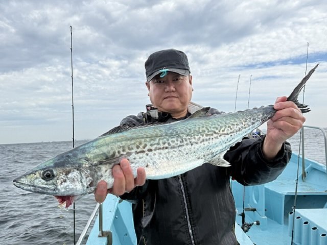 サゴシ(サワラ)