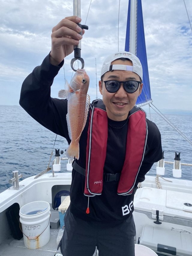 アマダイ(アカアマダイ)