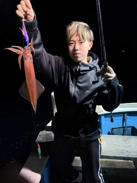 マイカ(ケンサキイカ)