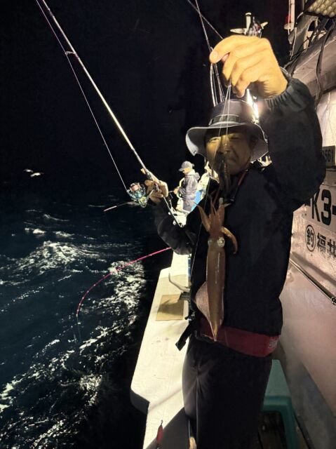 マイカ(ケンサキイカ)