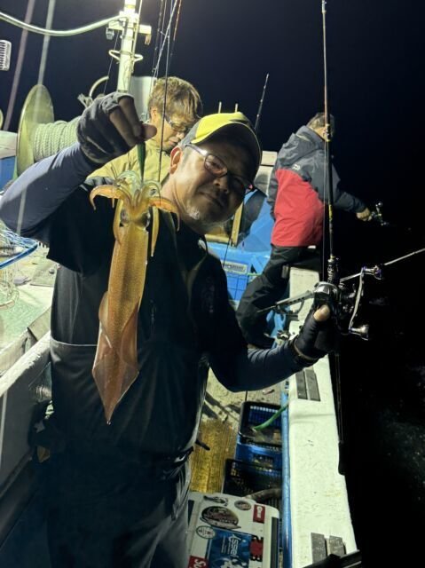 マイカ(ケンサキイカ)