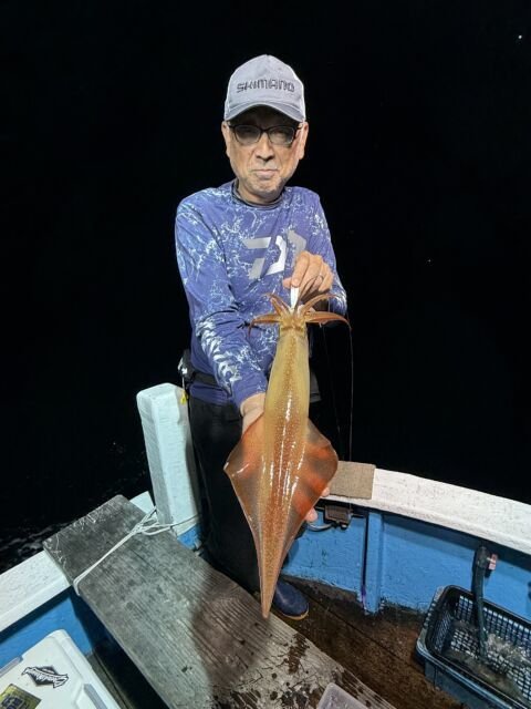 マイカ(ケンサキイカ)