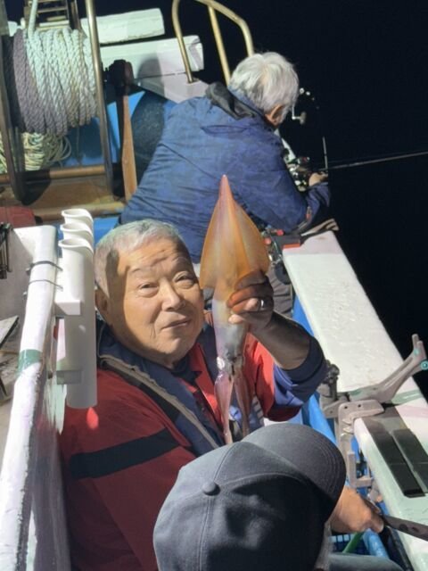 マイカ(ケンサキイカ)