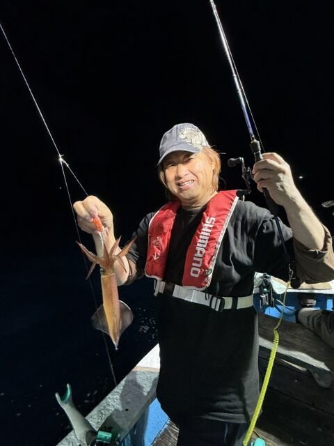 マイカ(ケンサキイカ)