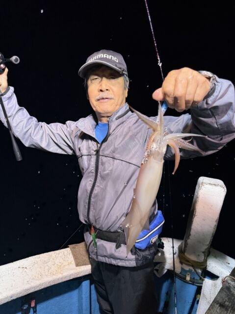 マイカ(ケンサキイカ)