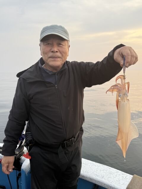 マイカ(ケンサキイカ)