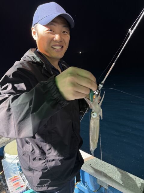 マイカ(ケンサキイカ)