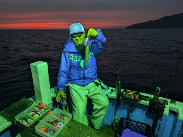 マイカ(ケンサキイカ)