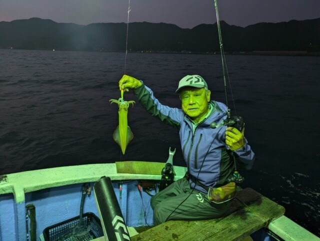 マイカ(ケンサキイカ)