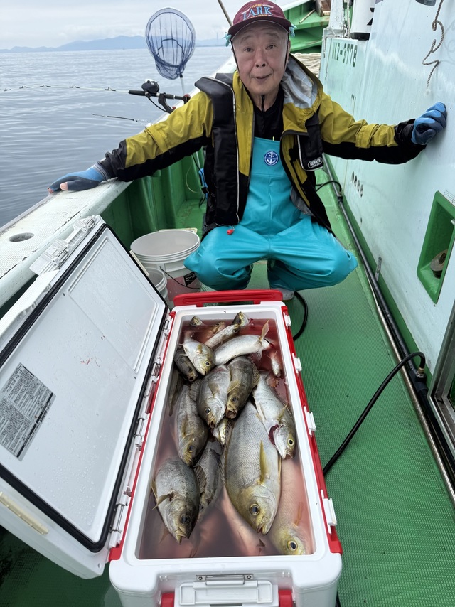 イサギ(イサキ)