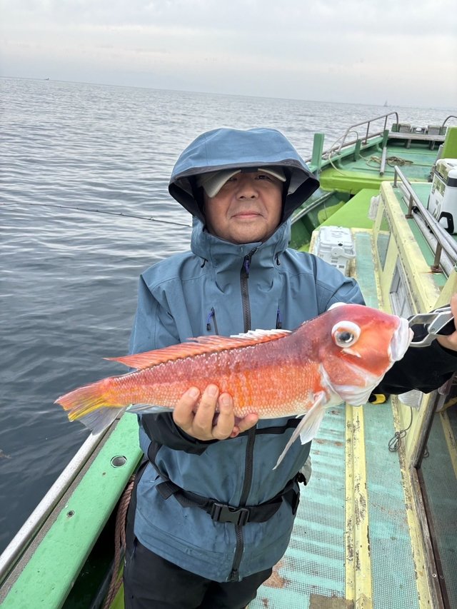 アマダイ(アカアマダイ)