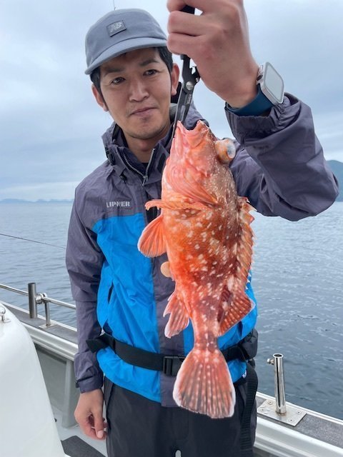 ウッカリカサゴ