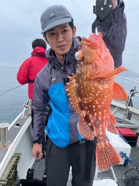 ウッカリカサゴ