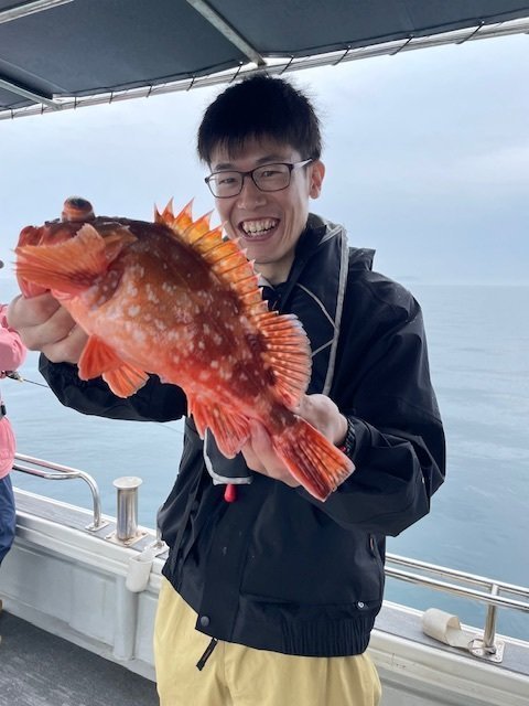 ウッカリカサゴ