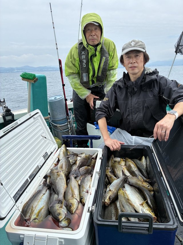 イサギ(イサキ)