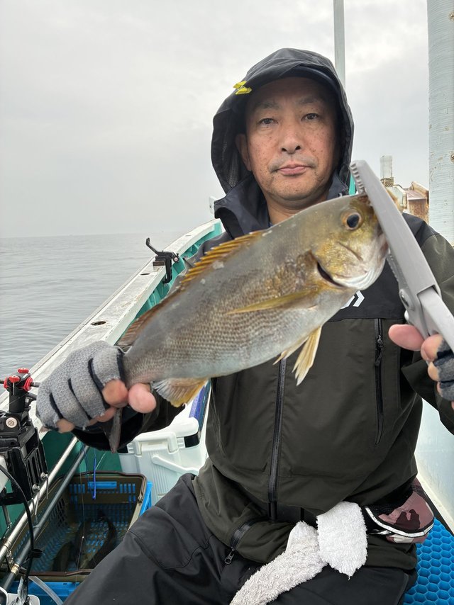 イサギ(イサキ)