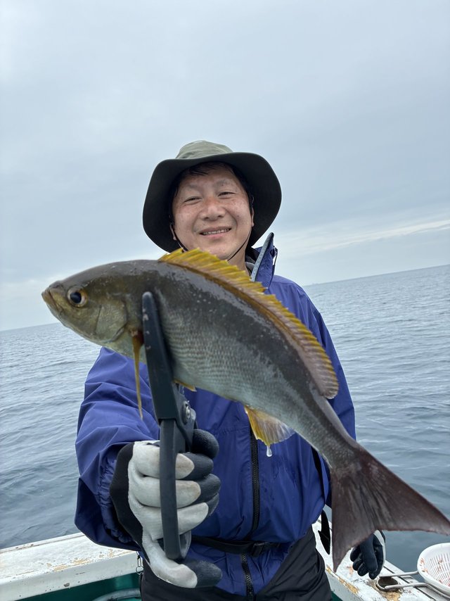 イサギ(イサキ)