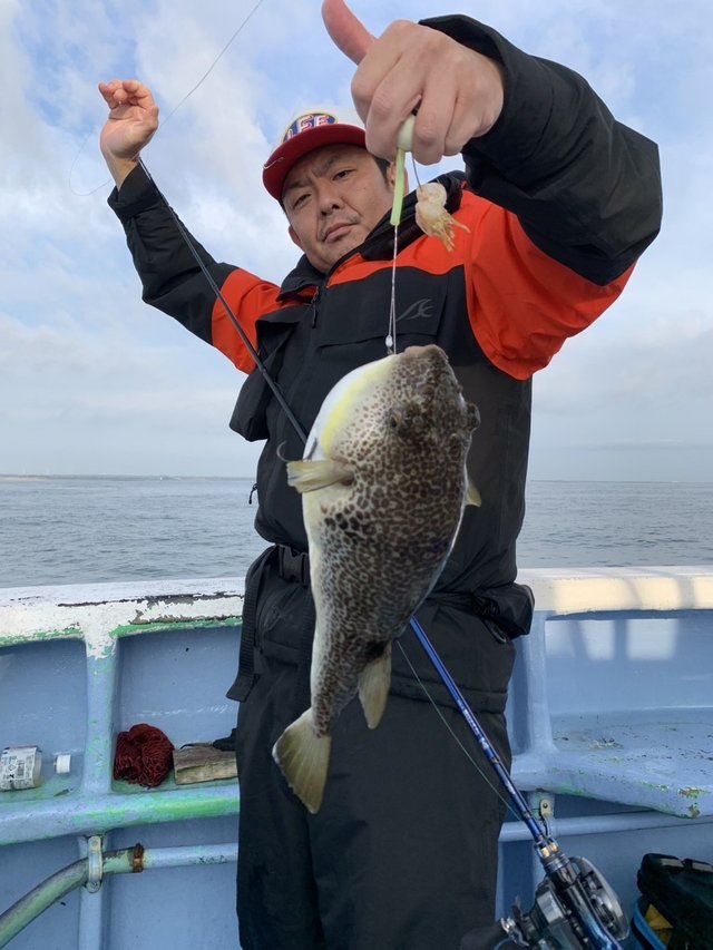 ショウサイフグ