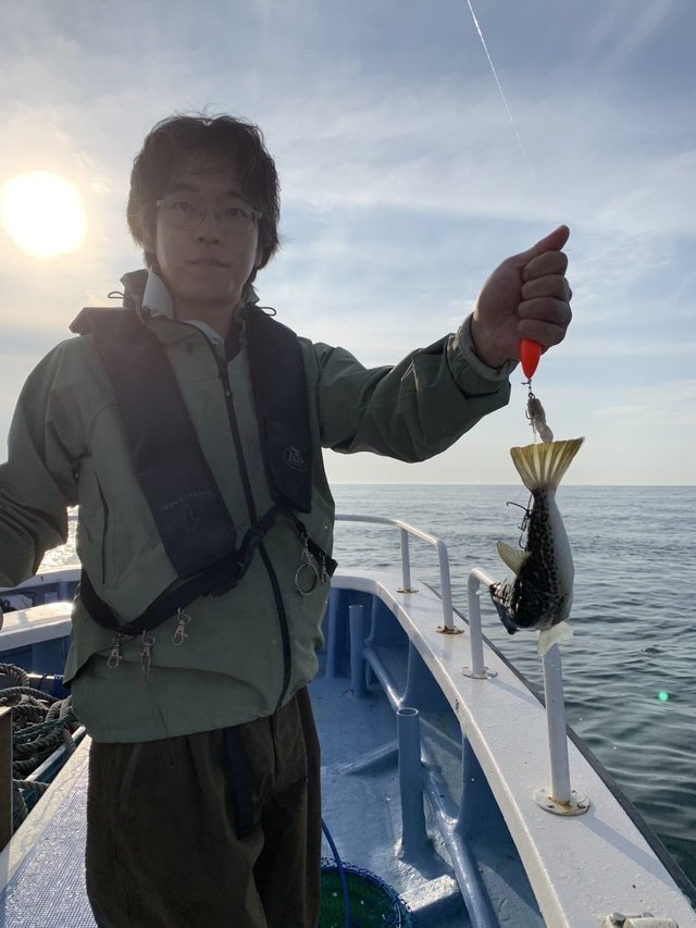 ショウサイフグ