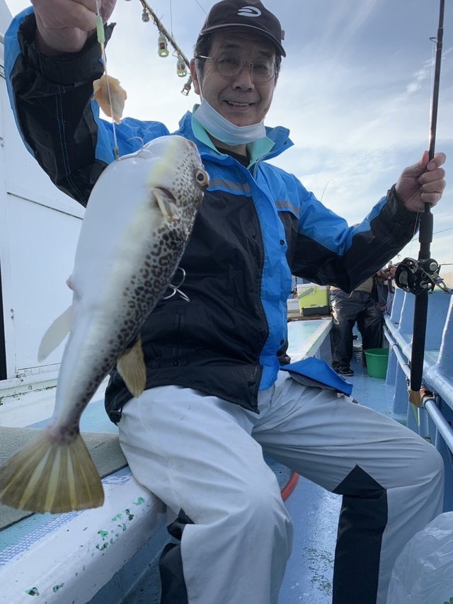 ショウサイフグ