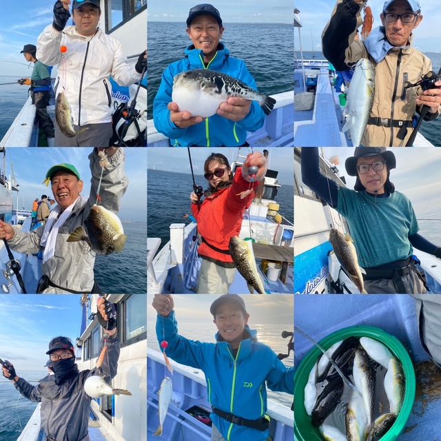 ショウサイフグ