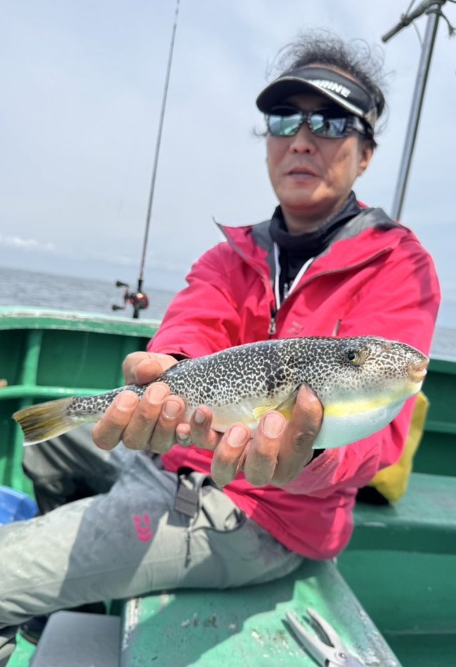 ショウサイフグ