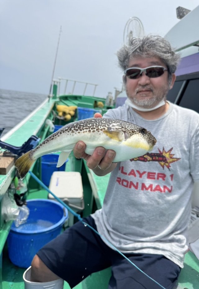 ショウサイフグ