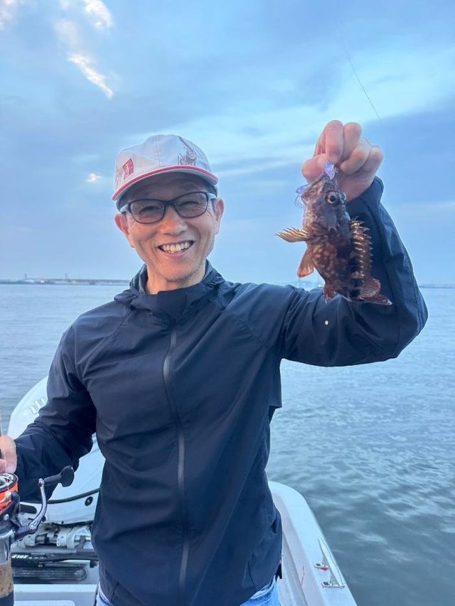 ガシラ(カサゴ)