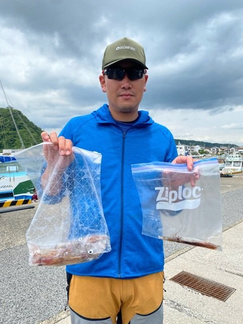 マルイカ(ケンサキイカ)