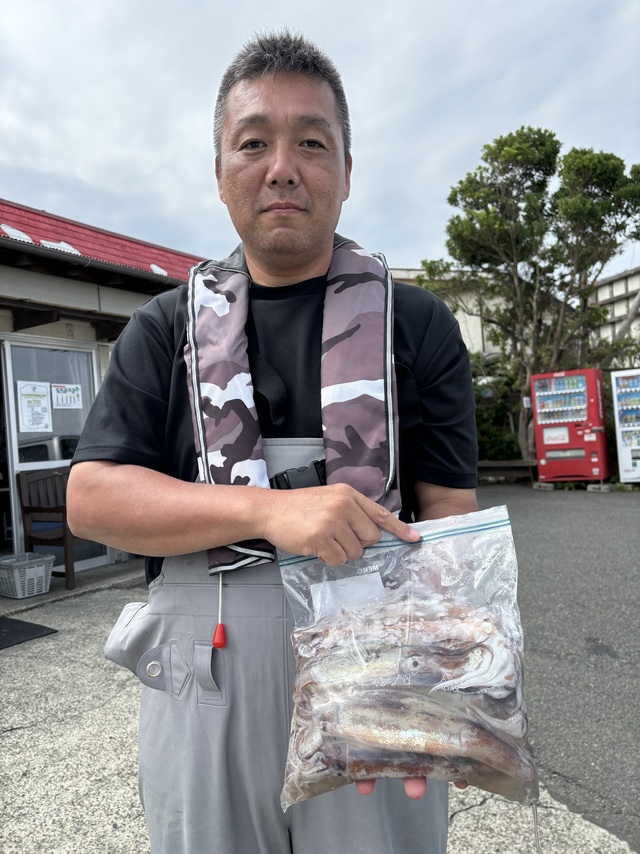 ムギイカ(スルメイカ)