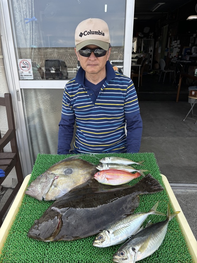 アジ(マアジ)・ヒラメ