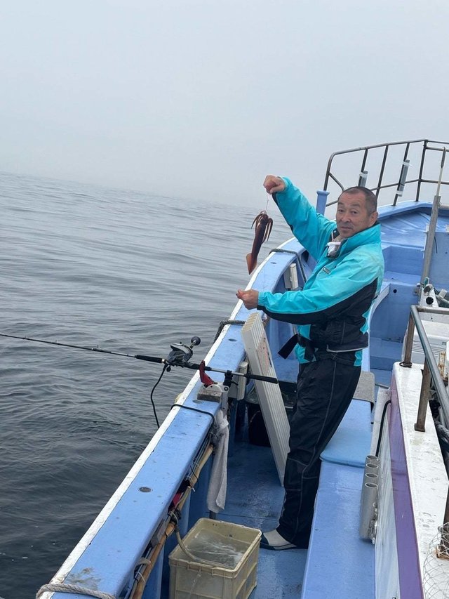 イカ(ケンサキイカ)