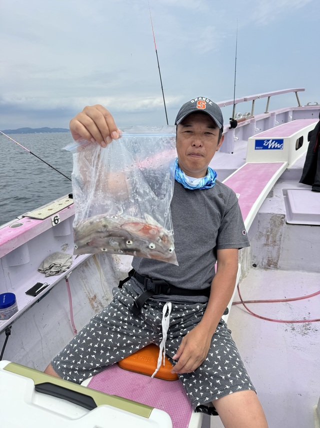 マルイカ(ケンサキイカ)