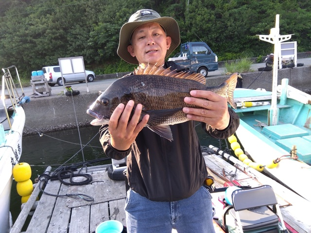 チヌ(クロダイ)