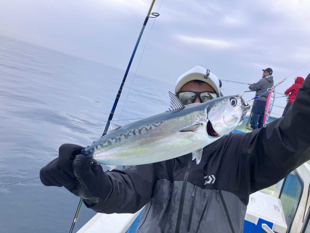 ソウダガツオ(マルソウダ)