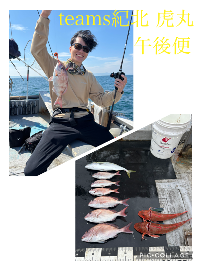 タイ(マダイ)・ハマチ(ブリ)・ホウボウ