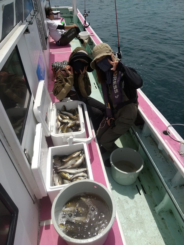 アジ(マアジ)・イサキ