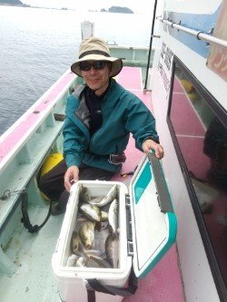 アジ(マアジ)・イサキ