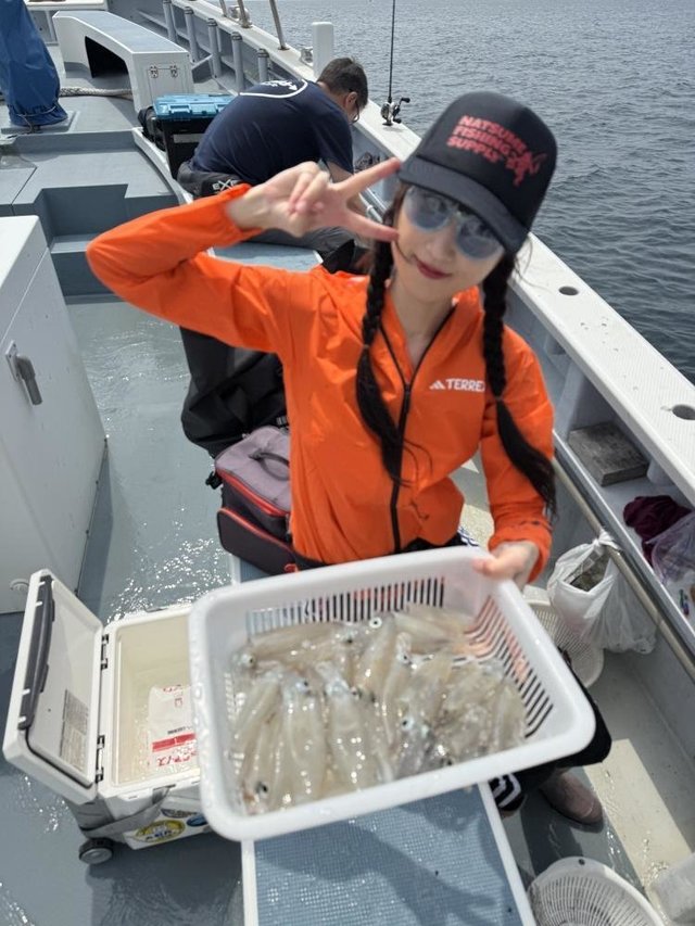 マルイカ(ケンサキイカ)