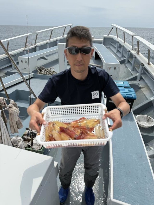 マルイカ(ケンサキイカ)