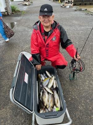 イサギ(イサキ)