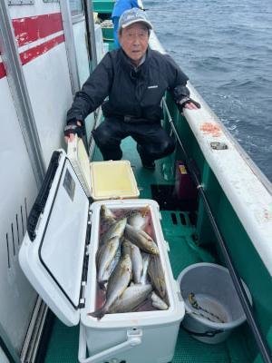 イサギ(イサキ)