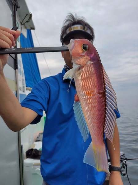 アマダイ(アカアマダイ)