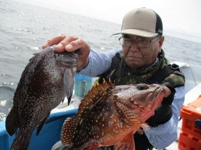 イシナギ(オオクチイシナギ)・カサゴ